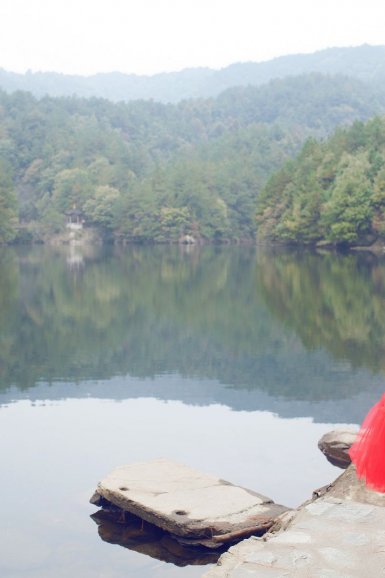 2026世界杯，世界杯买球网站，世界杯投注，世界杯外围买球，世界杯竞猜：蚂蚱吃什